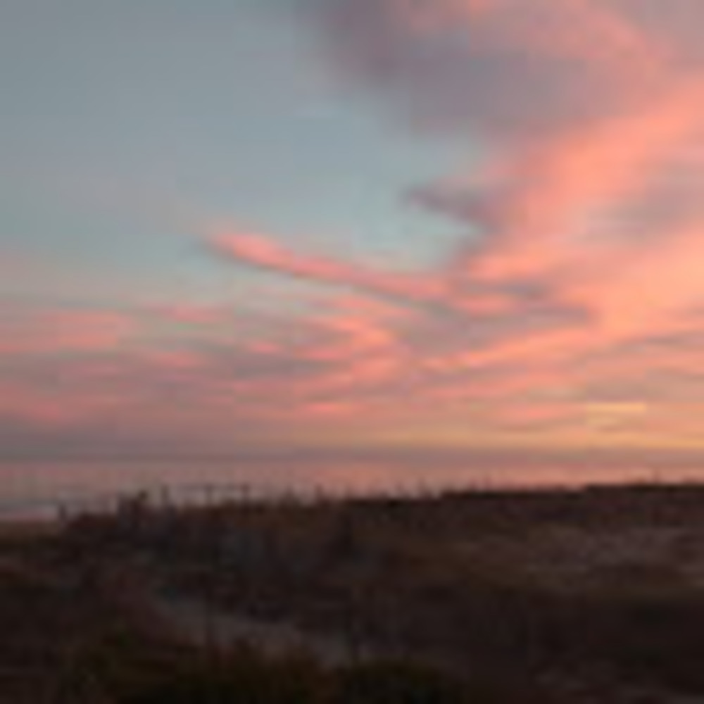 Meet your Posher, Dakota